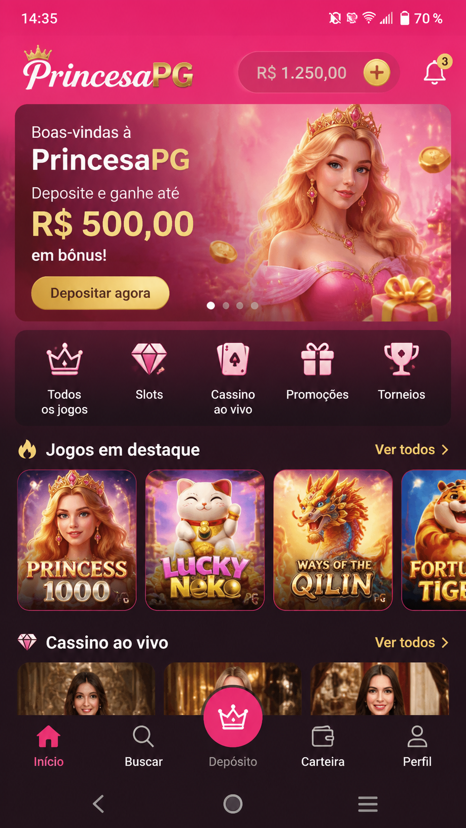 PrincesaPG screenshot