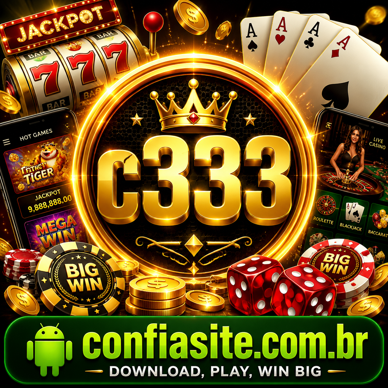 c333